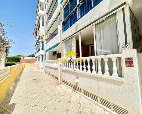 Studio de 1 chambre à louer à Los Europeos, Torrevieja avec piscine - 690 € (Ref: 9709151)