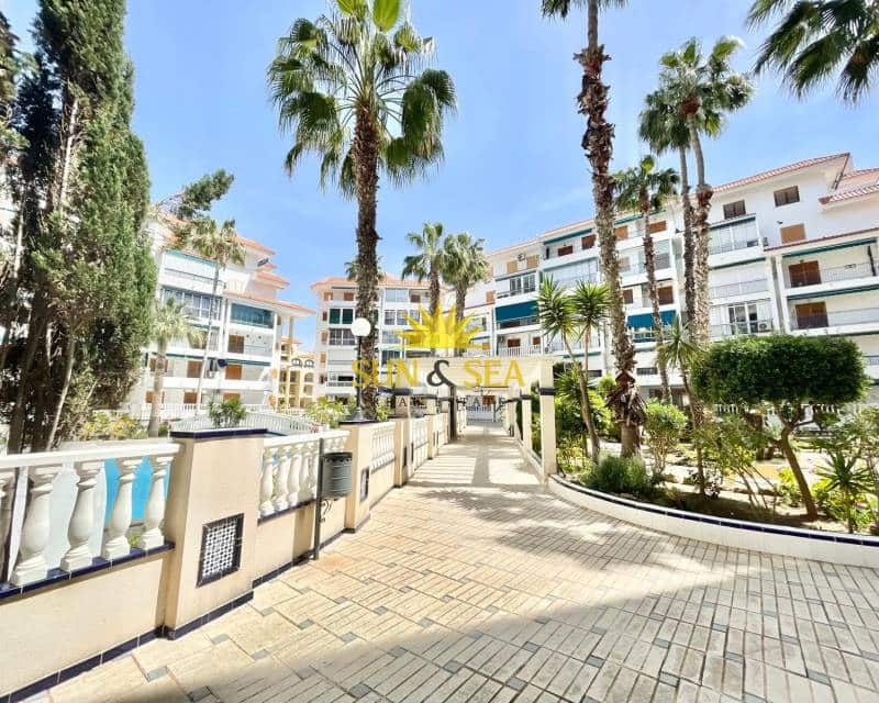 1 Zimmer Studio zu vermieten in La Mata mit Pool - 690 € (Ref: 9709151)