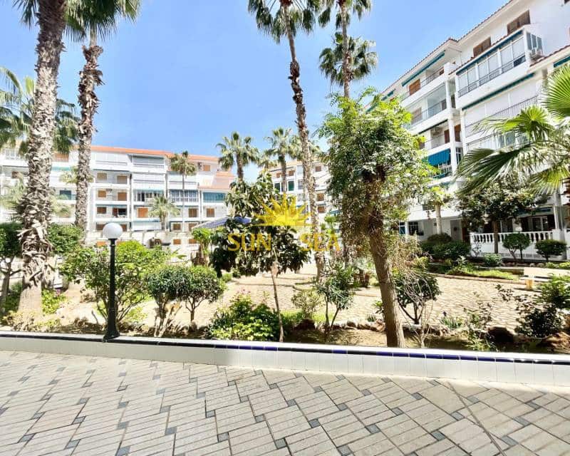 1 Zimmer Studio zu vermieten in La Mata mit Pool - 690 € (Ref: 9709151)