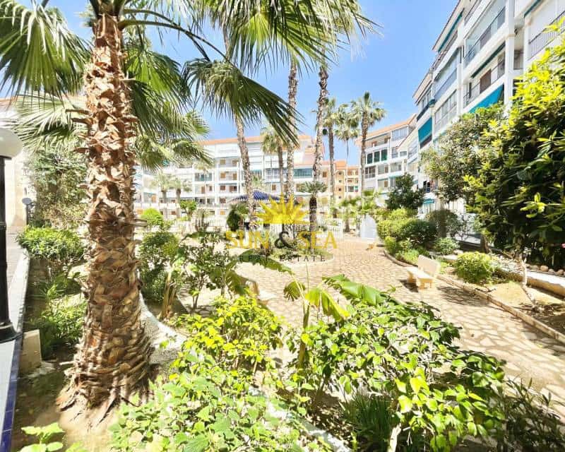 1 Zimmer Studio zu vermieten in La Mata mit Pool - 690 € (Ref: 9709151)