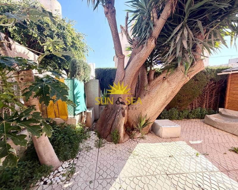 2 Zimmer Apartment zu verkaufen in Torrevieja mit Pool - 160.000 € (Ref: 9713520)