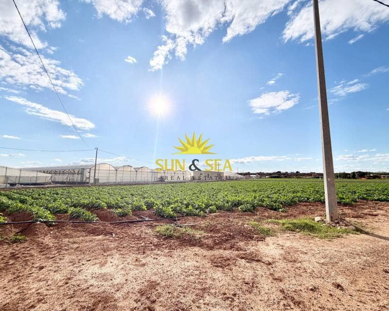 4 sovrum Finca/Hus på landet till salu i San Pedro del Pinatar med pool garage - 1 800 000 € (Ref: 9770986)