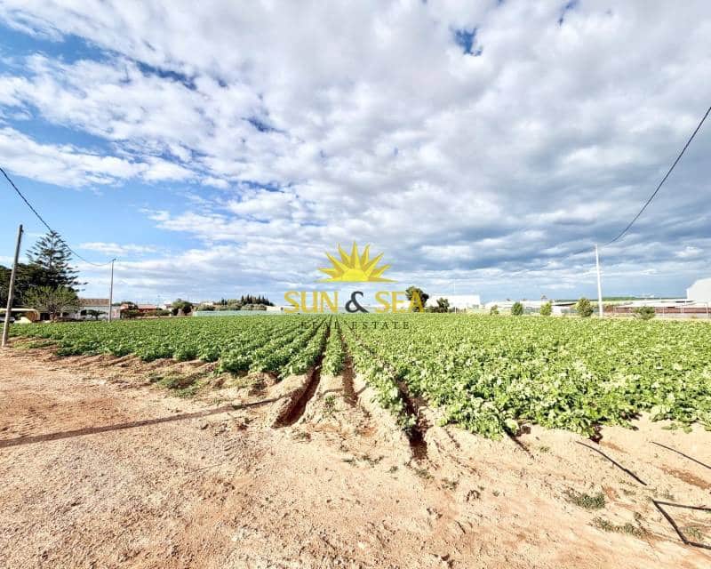 4 sovrum Finca/Hus på landet till salu i San Pedro del Pinatar med pool garage - 1 800 000 € (Ref: 9770986)