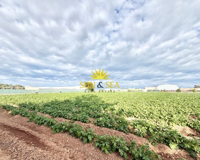 4 sovrum Finca/Hus på landet till salu i San Pedro del Pinatar med pool garage - 1 800 000 € (Ref: 9770986)