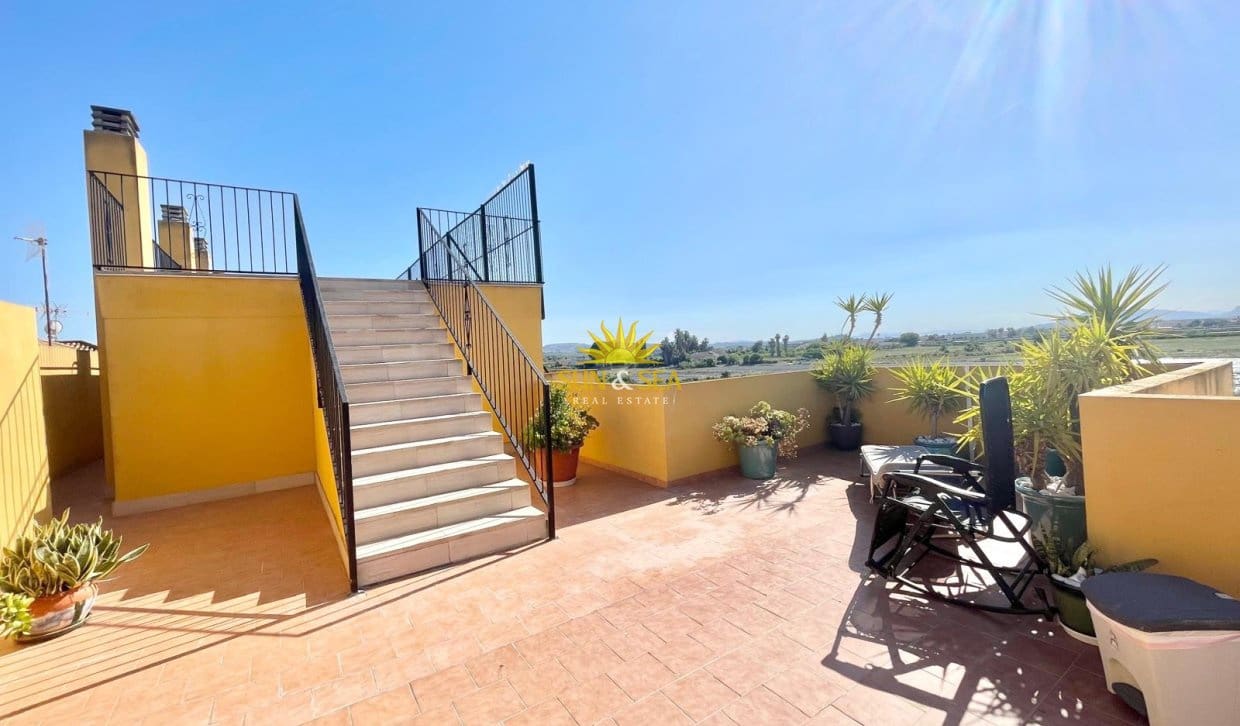 2 bedroom Apartment for rent in Daya Nueva with pool - € 900 (Ref: 9787954)