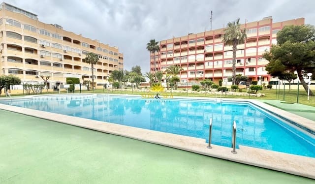 Apartamento de 1 habitación en Torreblanca, Torrevieja en venta con piscina - 129.000 € (Ref: 9809415)