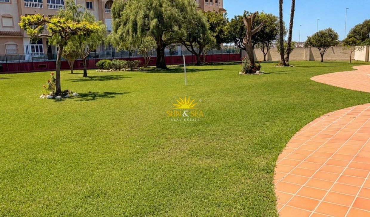 2 bedroom Apartment for rent in Torrevieja with pool - € 900 (Ref: 9834814)