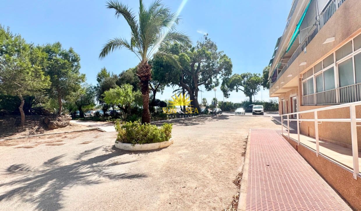 1 quarto Apartamento para arrendar em Guardamar del Segura - 700 € (Ref: 9860831)