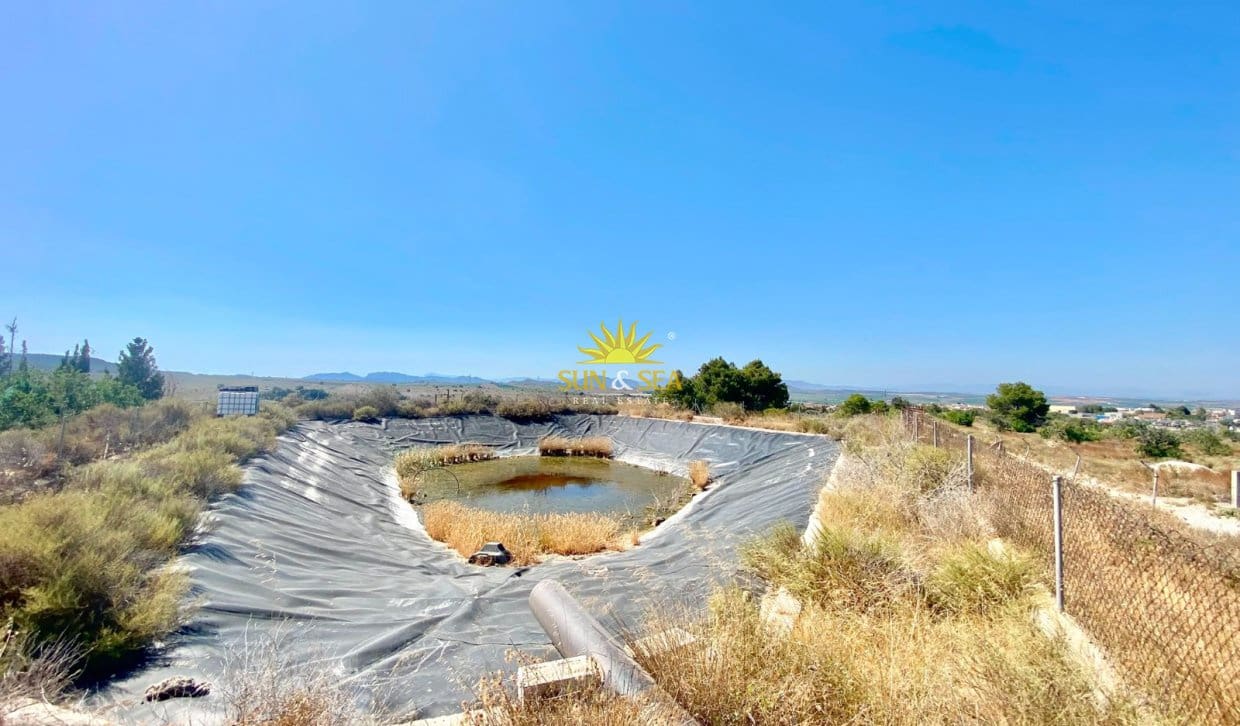 1 sovrum Finca/Hus på landet till salu i San Miguel de Salinas - 190 000 € (Ref: 9902250)