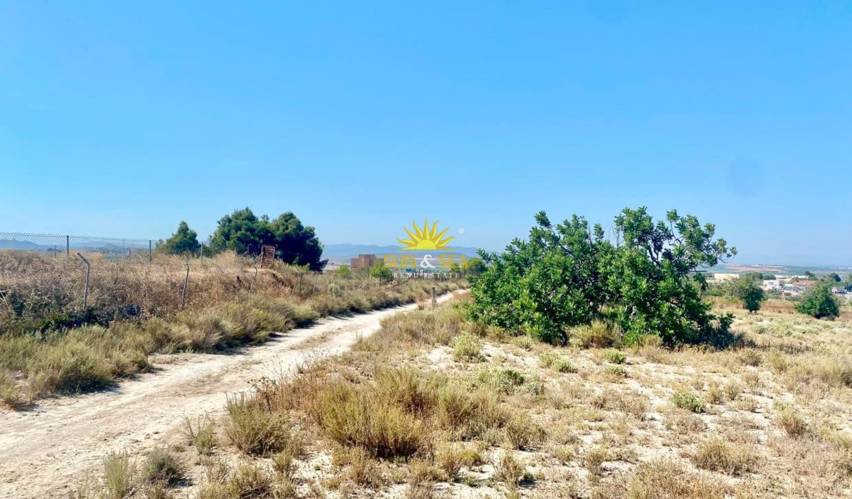 1 sovrum Finca/Hus på landet till salu i San Miguel de Salinas - 190 000 € (Ref: 9902250)