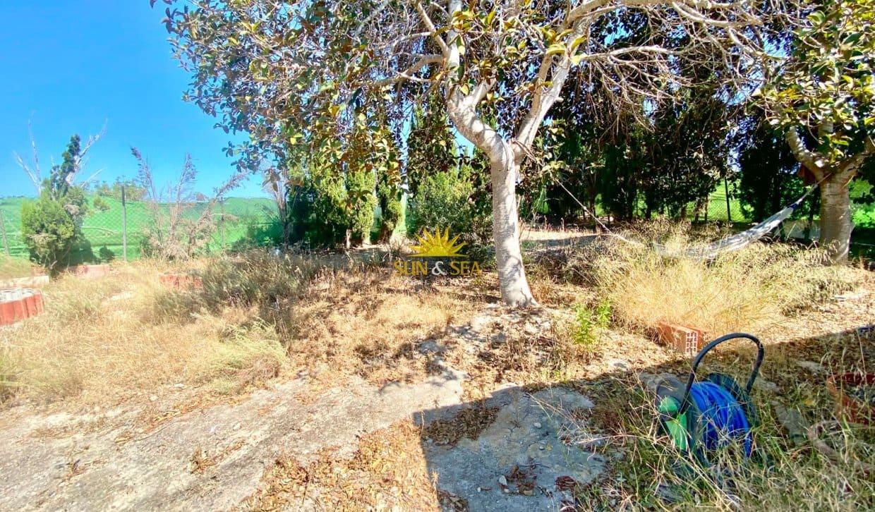 1 sovrum Finca/Hus på landet till salu i San Miguel de Salinas - 190 000 € (Ref: 9902250)