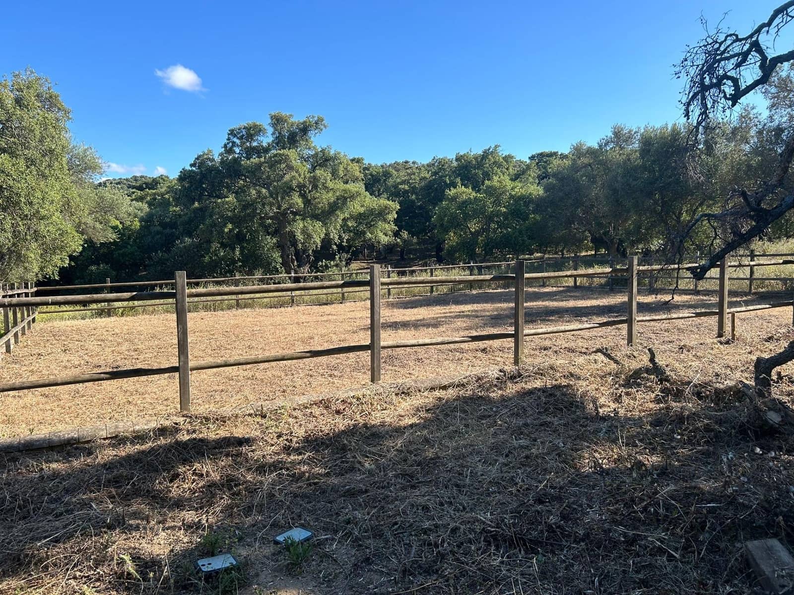 5 soverom Finca/Herregård til salgs i Alcala de los Gazules - € 590 000 (Ref: 8352226)