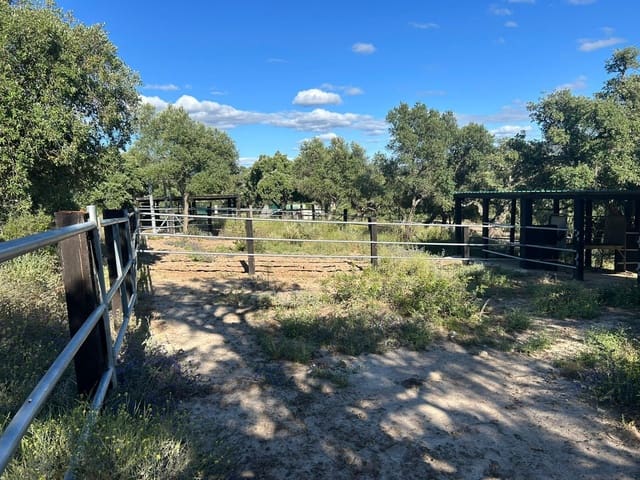 5 slaapkamer Finca/Landhuis te koop in Alcalá de los Gazules - € 590.000 (Ref: 8352226)