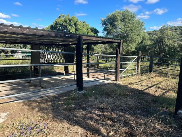 5 slaapkamer Finca/Landhuis te koop in Alcalá de los Gazules - € 590.000 (Ref: 8352226)