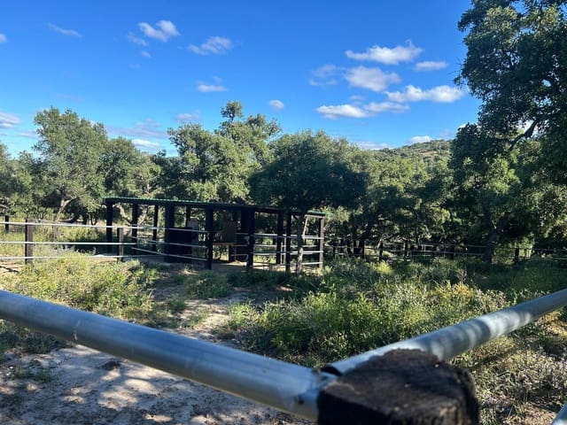 5 slaapkamer Finca/Landhuis te koop in Alcalá de los Gazules - € 590.000 (Ref: 8352226)