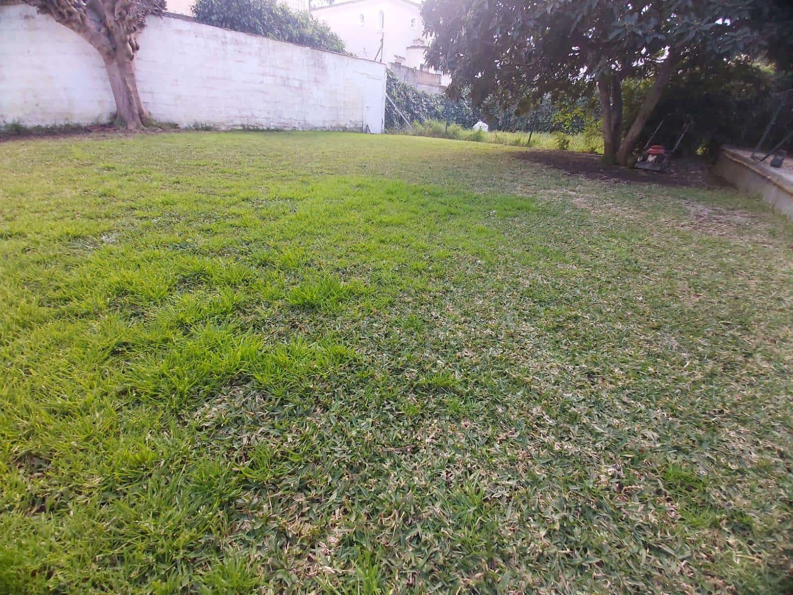 7 soveværelse Villa til salg i Algeciras - € 617.000 (Ref: 8915439)