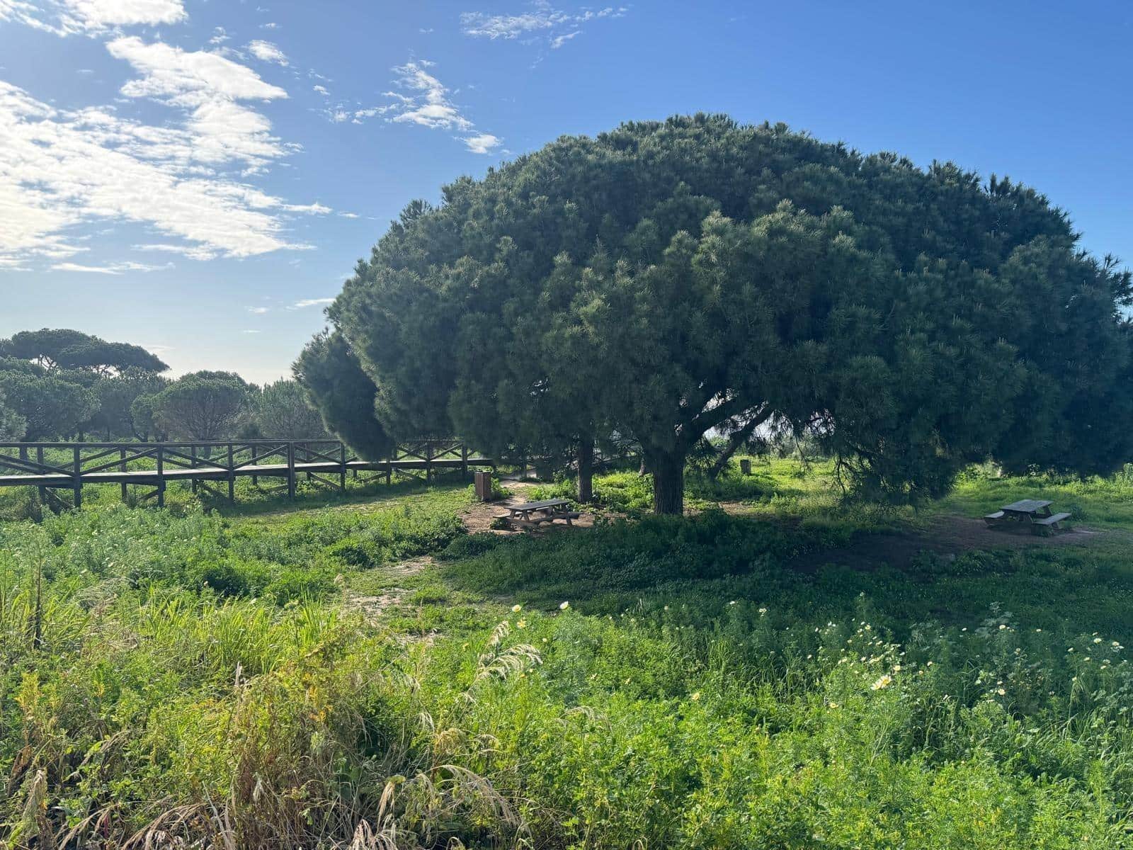 4 soveværelse Villa til salg i Sanlucar de Barrameda med garage - € 389.000 (Ref: 9048728)