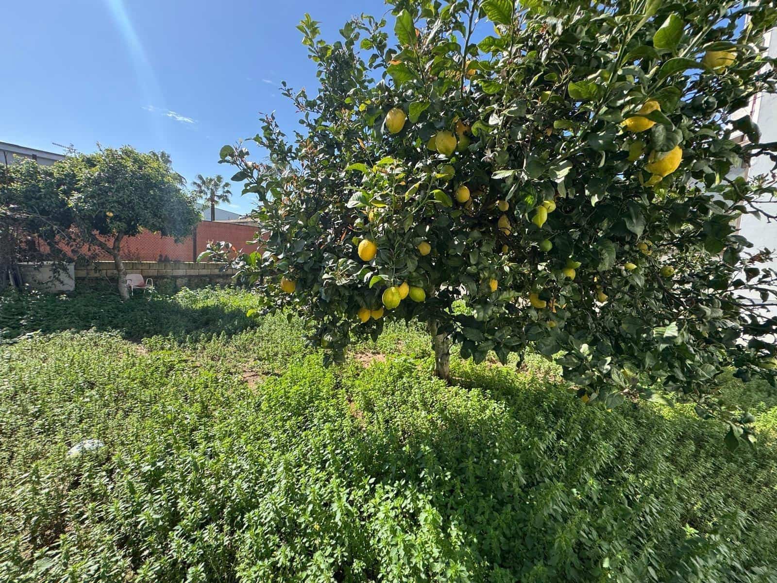 4 soveværelse Villa til salg i Sanlucar de Barrameda med garage - € 389.000 (Ref: 9048728)