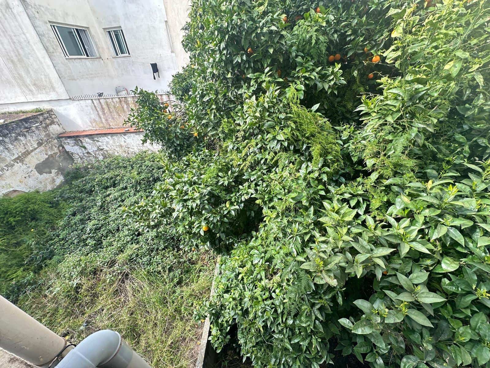 Apartment for sale in La Linea de la Concepcion - € 300,000 (Ref: 9357722)