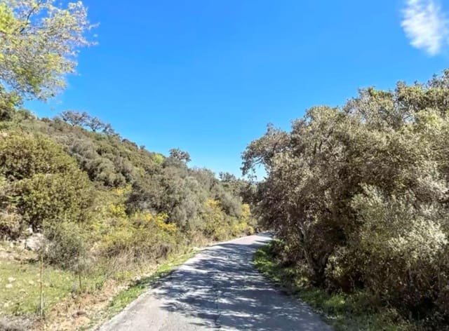 Terreno Não Urbanizado para venda em Los Barrios - 135 000 € (Ref: 9468479)