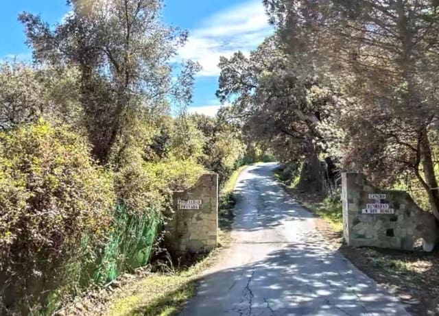 Terreno Não Urbanizado para venda em Los Barrios - 135 000 € (Ref: 9468479)