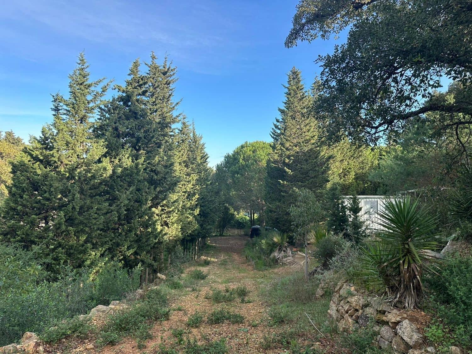 Mark till salu i Los Barrios - 135 000 € (Ref: 9468479)