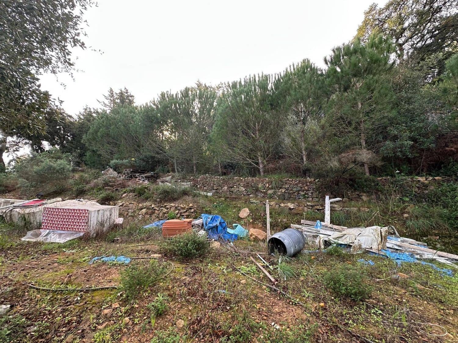 Mark till salu i Los Barrios - 135 000 € (Ref: 9468479)