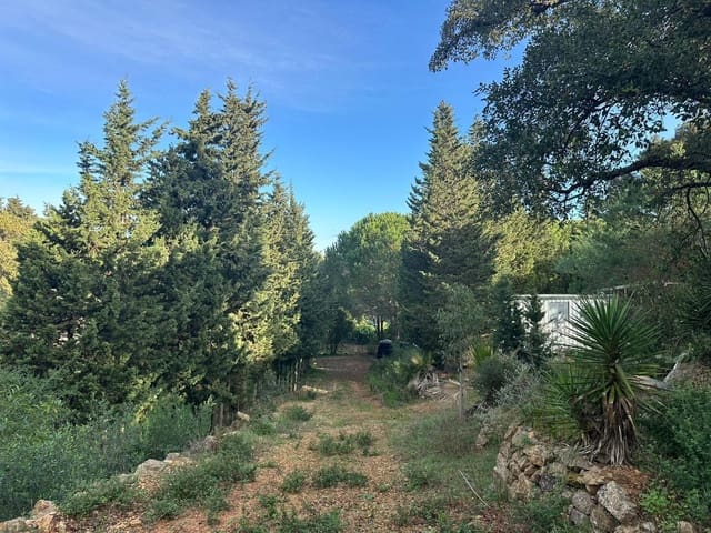 Terreno Não Urbanizado para venda em Los Barrios - 135 000 € (Ref: 9468479)