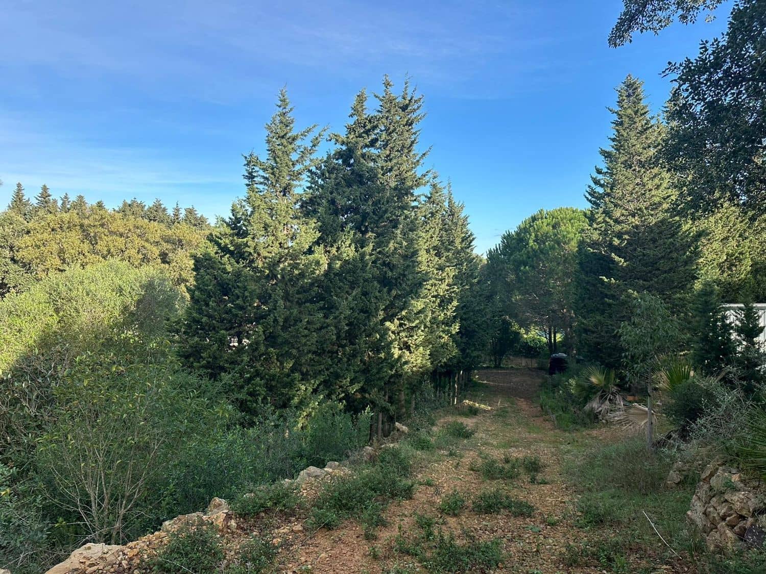 Mark till salu i Los Barrios - 135 000 € (Ref: 9468479)