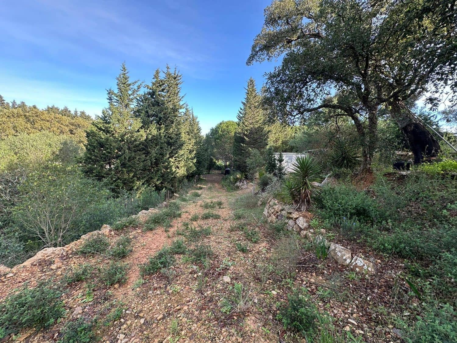 Mark till salu i Los Barrios - 135 000 € (Ref: 9468479)