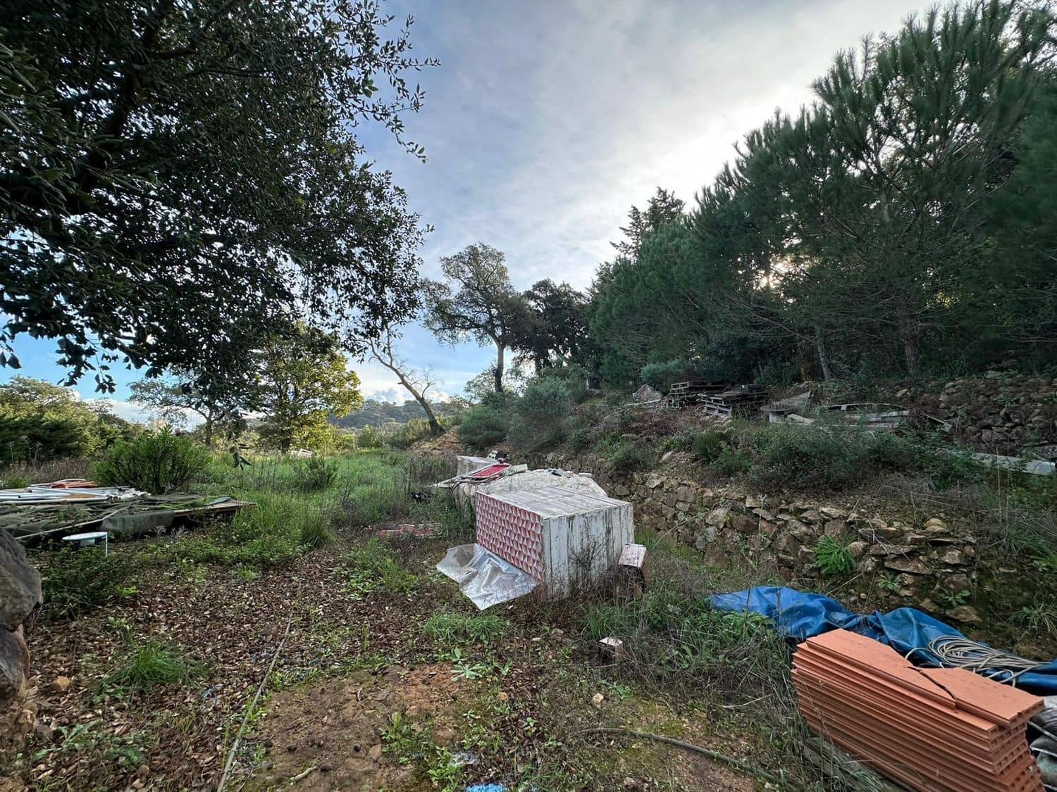 Mark till salu i Los Barrios - 135 000 € (Ref: 9468479)