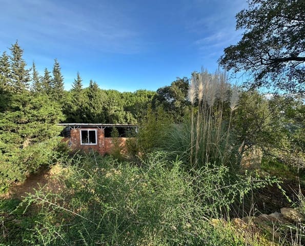 Terreno Não Urbanizado para venda em Los Barrios - 135 000 € (Ref: 9468479)