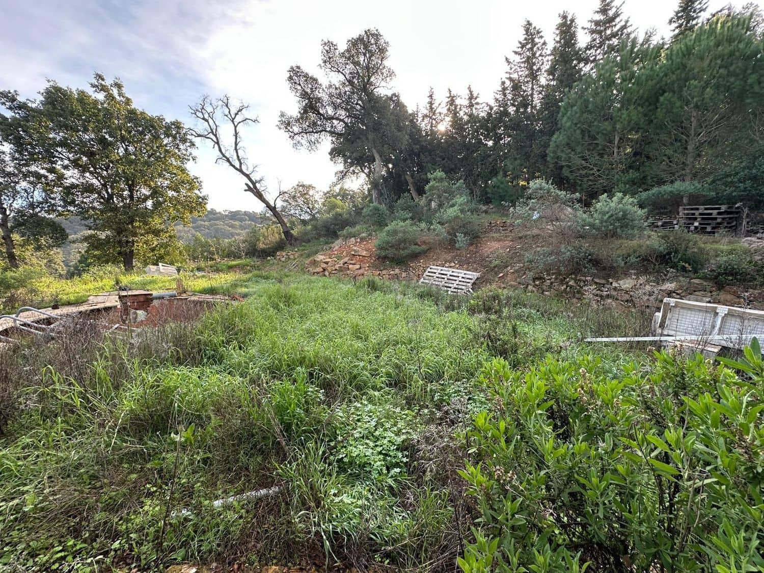 Mark till salu i Los Barrios - 135 000 € (Ref: 9468479)