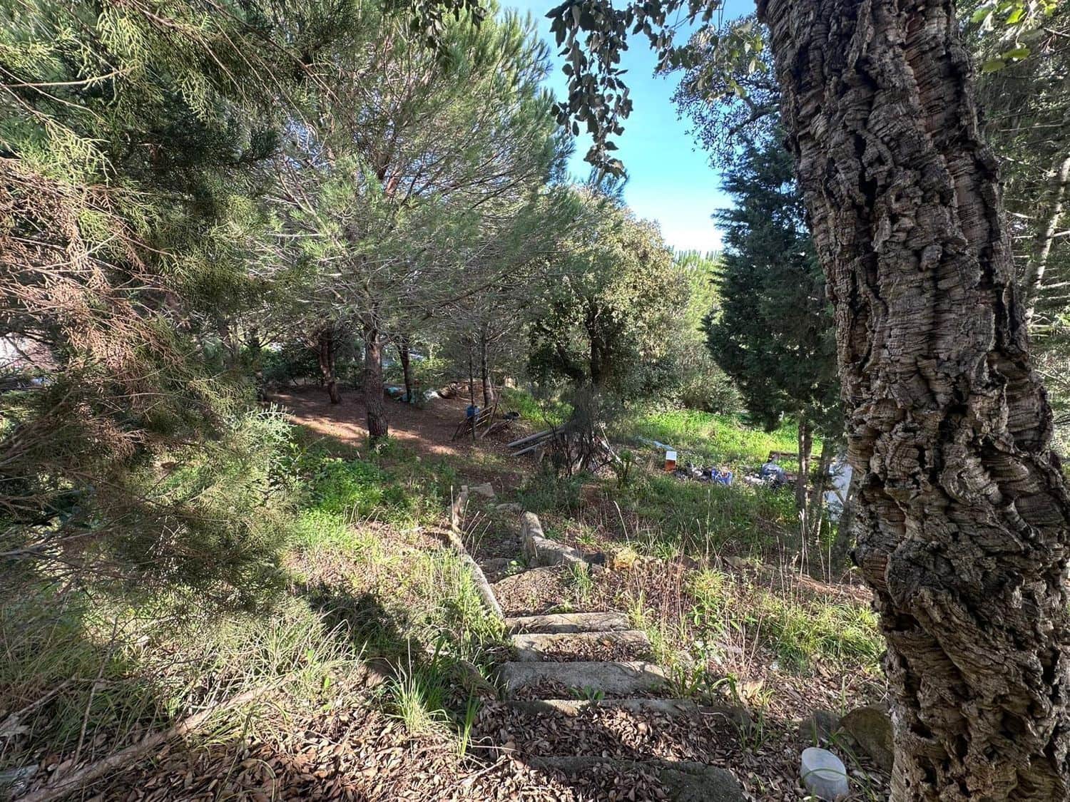 Mark till salu i Los Barrios - 135 000 € (Ref: 9468479)