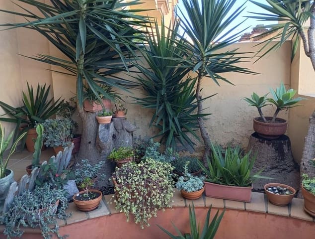 3 Zimmer Villa zu verkaufen in Algeciras - 310.000 € (Ref: 9468483)