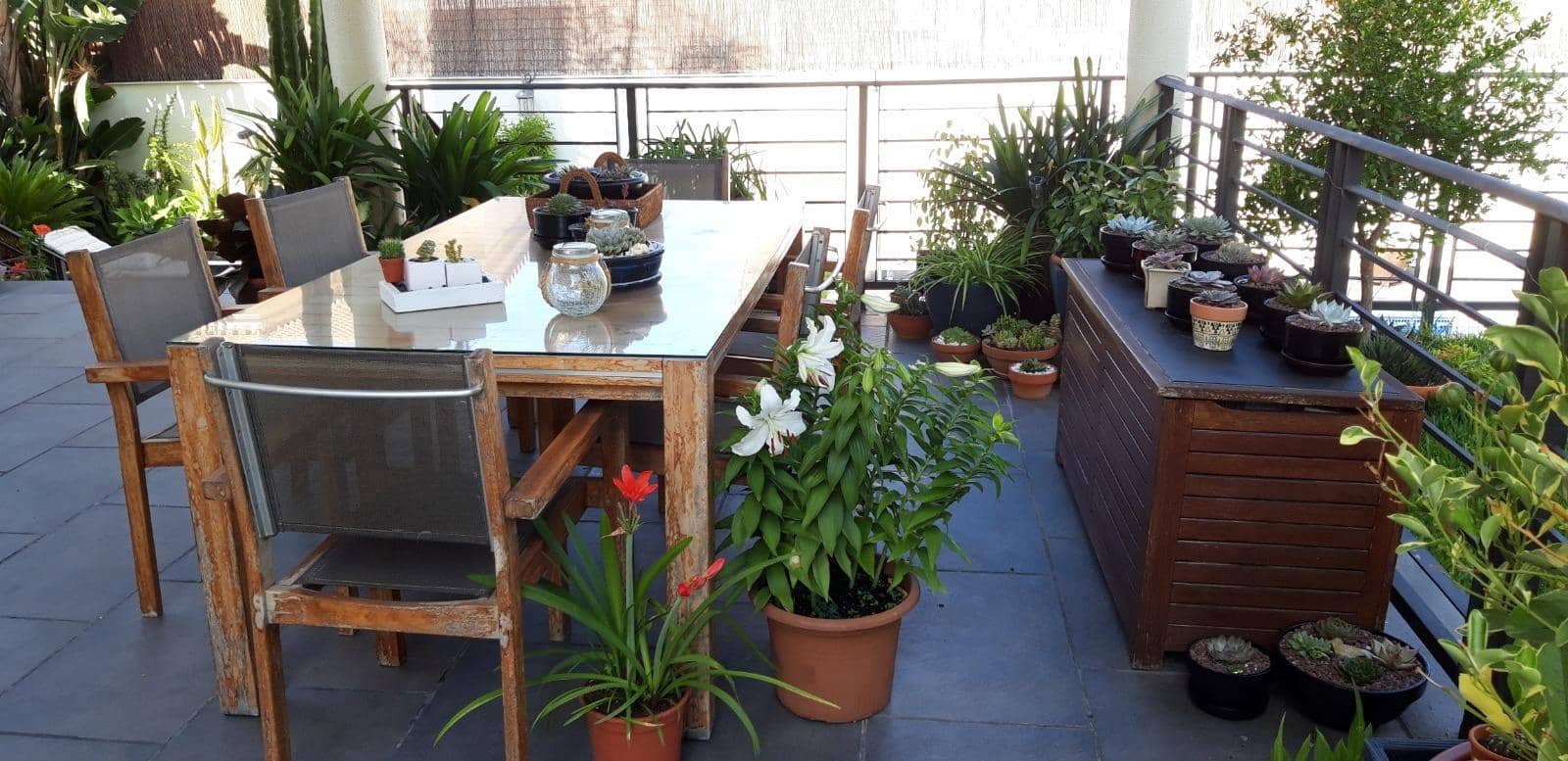 5 bedroom Villa for sale in Algeciras with pool - € 580,000 (Ref: 9770646)