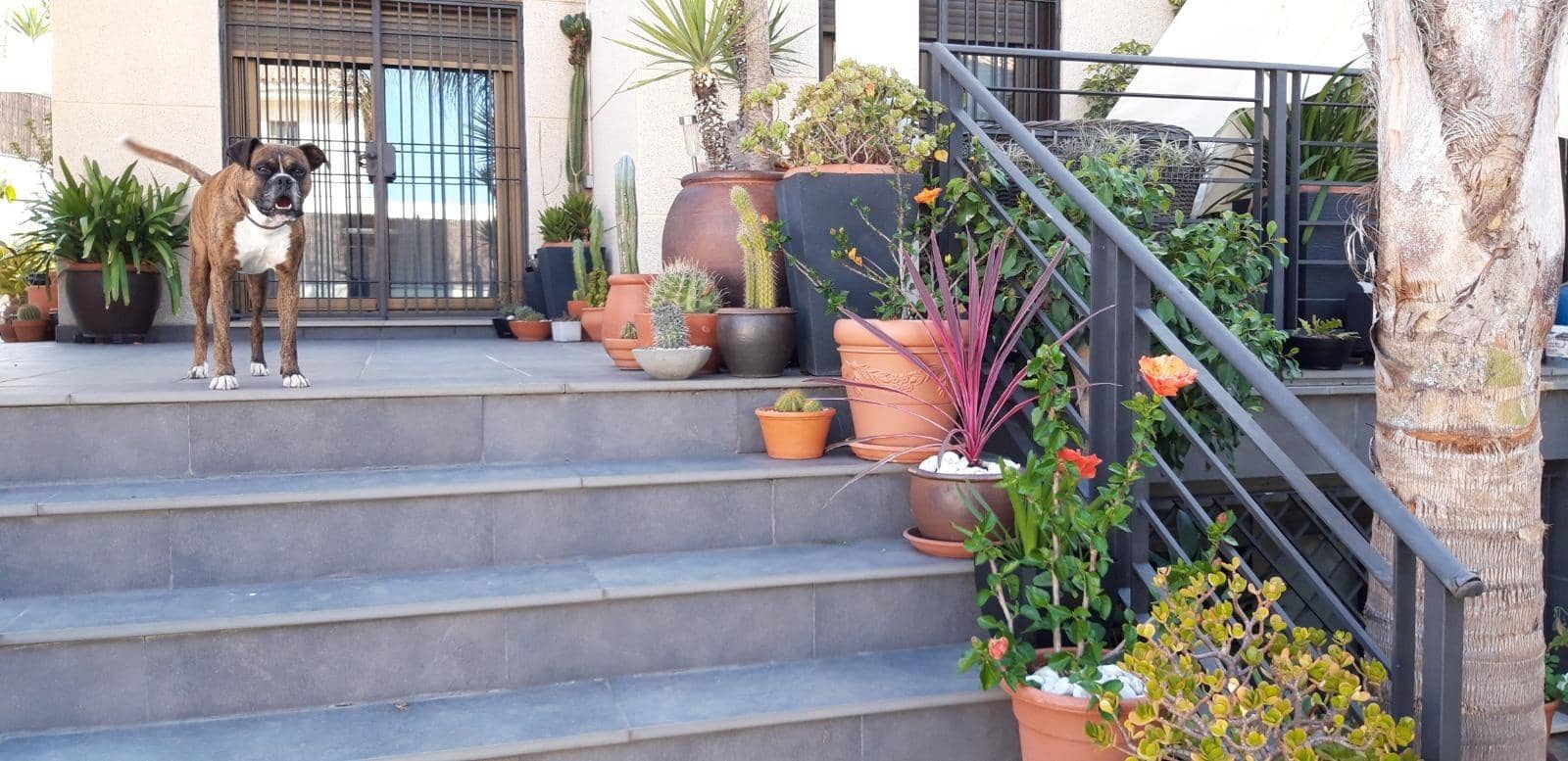 5 bedroom Villa for sale in Algeciras with pool - € 580,000 (Ref: 9770646)