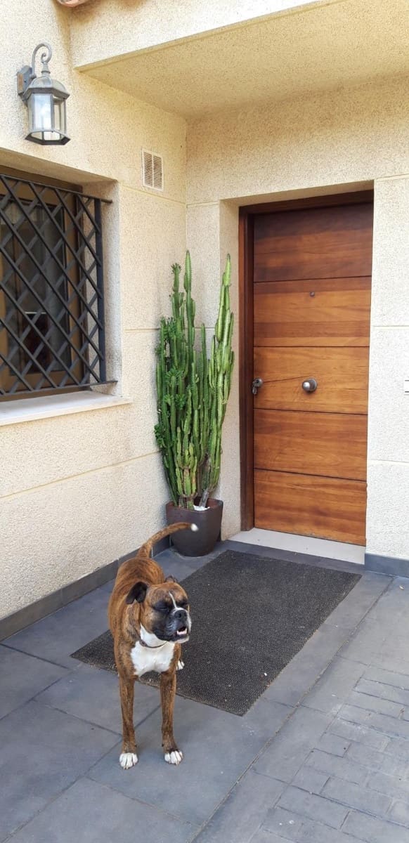 5 bedroom Villa for sale in Algeciras with pool - € 580,000 (Ref: 9770646)