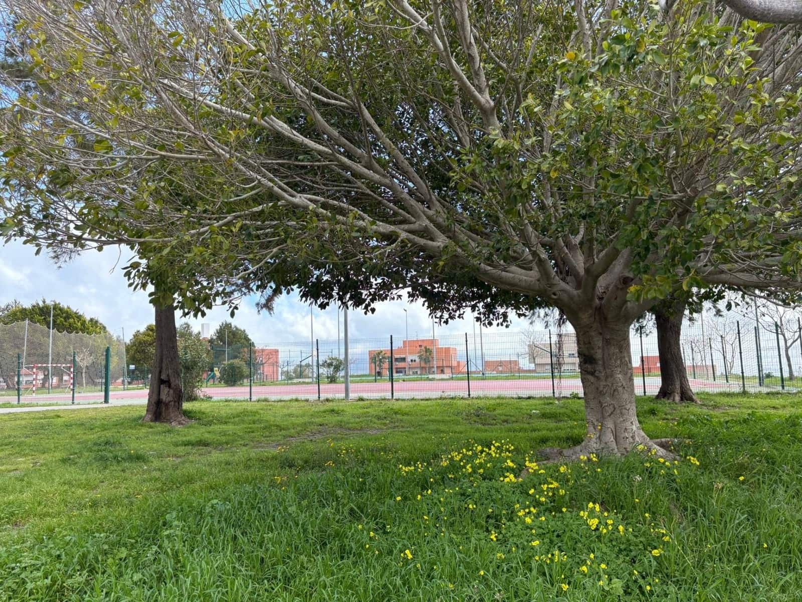 3 bedroom Flat for sale in Algeciras - € 149,000 (Ref: 9829087)