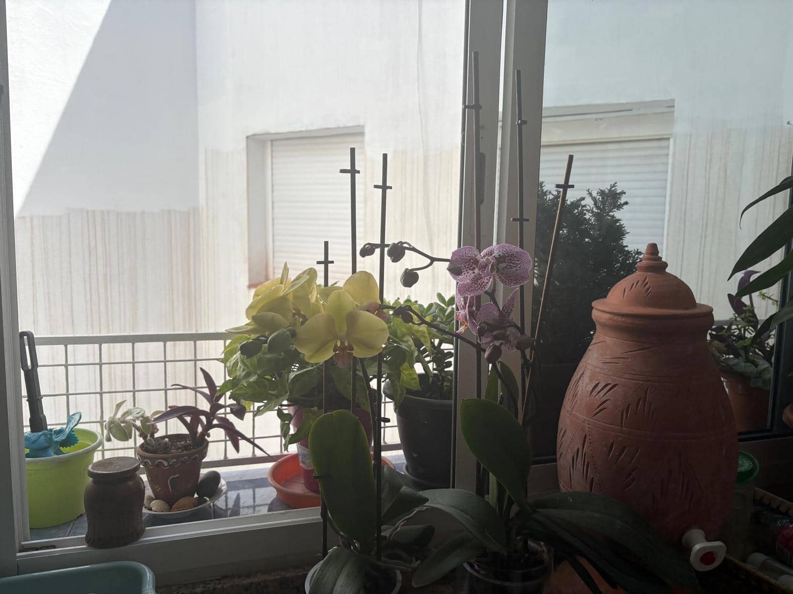 2 bedroom Flat for sale in Algeciras - € 132,000 (Ref: 9831355)