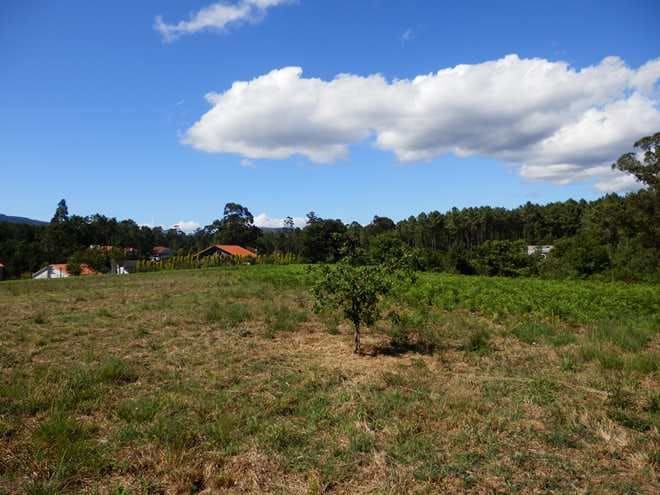 Flat te koop in Boiro - € 420.000 (Ref: 6216690)