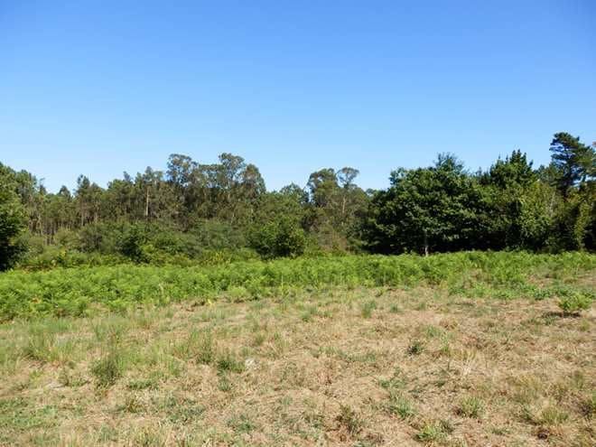 Flat te koop in Boiro - € 420.000 (Ref: 6216690)