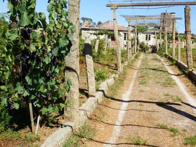 Flat te koop in Boiro - € 420.000 (Ref: 6216690)