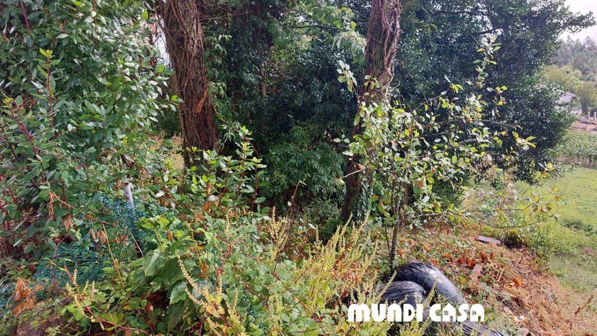 Byhus til salg i Lousame - € 19.900 (Ref: 7026119)