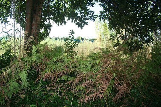 Byhus til salg i Boiro - € 60.000 (Ref: 7107620)