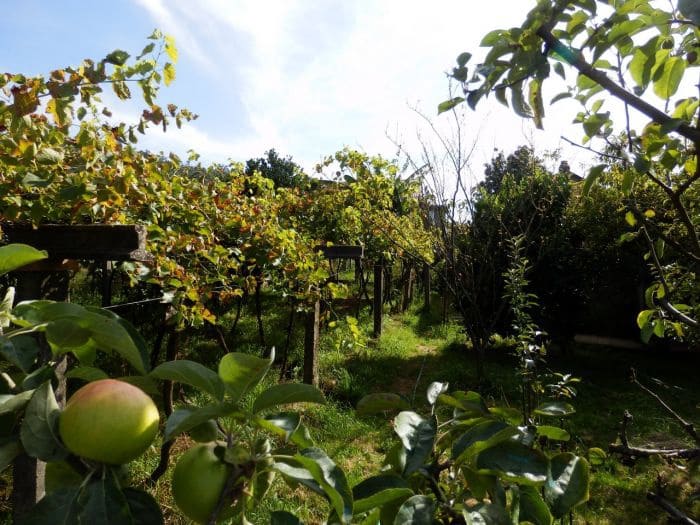 6 soveværelse Byhus til salg i Lousame - € 230.000 (Ref: 9114497)