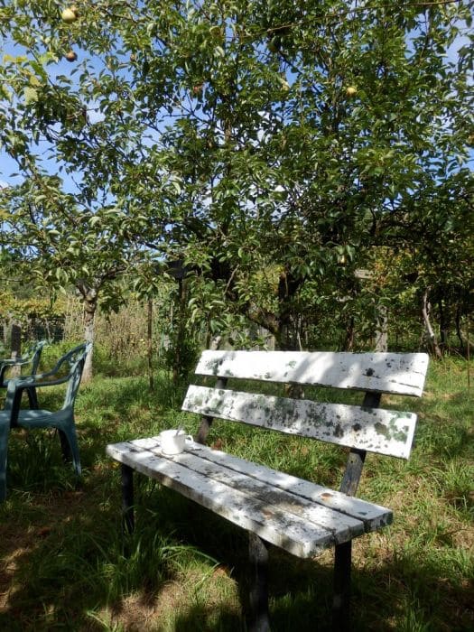 6 soveværelse Byhus til salg i Lousame - € 230.000 (Ref: 9114497)