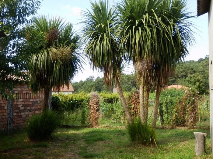 6 soveværelse Byhus til salg i Lousame - € 230.000 (Ref: 9114497)