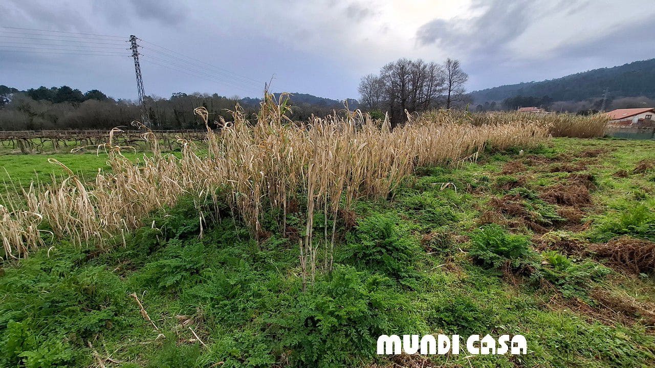 Undeveloped Land for sale in Boiro - € 120,000 (Ref: 9711158)