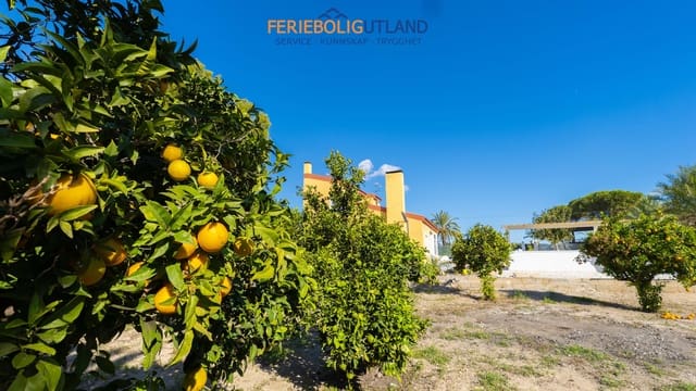 4 bedroom Villa for sale in Perleta - Maitino, Elche / Elx with pool garage - € 420,000 (Ref: 10000767)